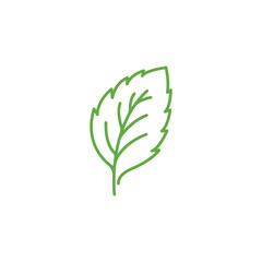 Fototapeta na wymiar Mint leaves linear icon. Leaf vector illustration. Green mint leaves ecology nature linear element vector icon, Leaf linear Icon, mint leaves logo vector illustration