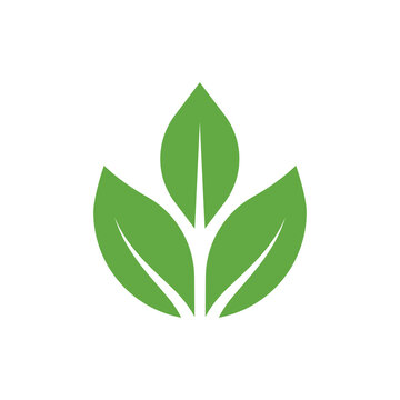 Flat leaves icons. Leaf vector illustration. Green leaf ecology nature element vector icon, Leaf Icon, green leaf ecology nature element vector
