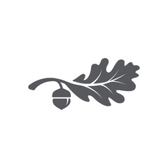 Oak leaf with acorns icon. Oak leaf logo design template. Oak leaf with acorns graphic vector. Vector illustration - obrazy, fototapety, plakaty