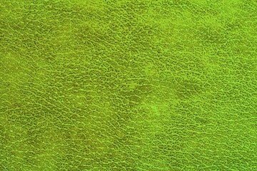 Fototapeta premium Abstract design background of neon green glossy artificial genuine textured creased leather. Flat surface. Skin natural wrinkled scratched wallpaper christmas pattern. Close-up, mock up, top view