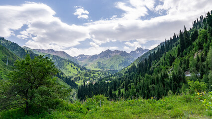 Fototapeta na wymiar Green hills. Green mountain peaks