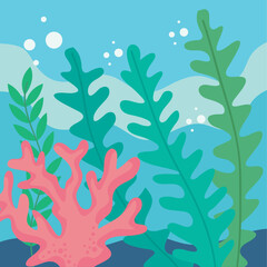 Fototapeta na wymiar pink seaweed and algaes