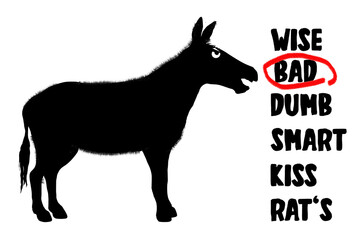 An ass, the animal, is seen with the words associated to the word ass in this illustration.