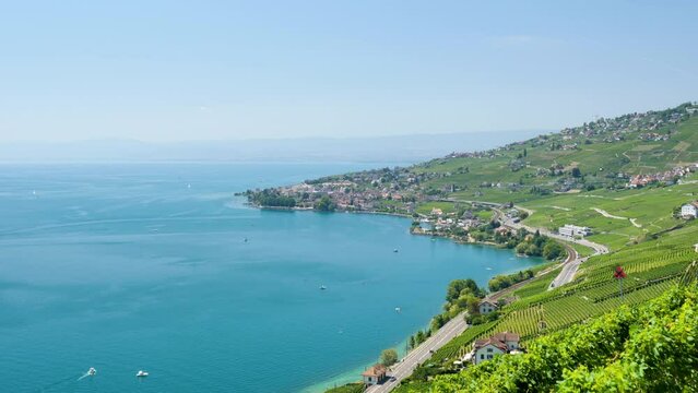 Geneva lake and vineyard landscape- Lavaux in Switzerland