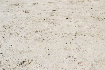 Natural sand texture at the beach on the coast