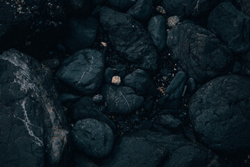 Nature close up
