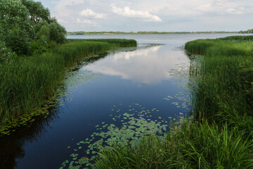 Fototapeta na wymiar Tranquil scene with a reflection of sky in water and some water-lily on a lake in Ludza, Latvia