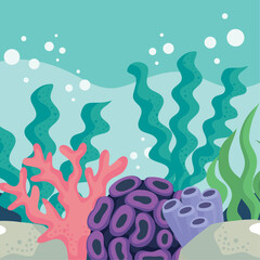 algaes colorful coral reef