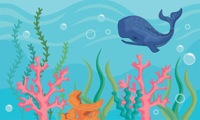 coral reef and whale