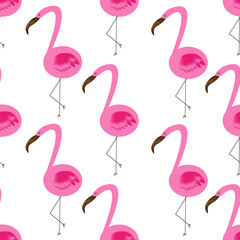 Seamless pattern with pink flamingos on white background. Set of tropical birds. Banner with collection of pink flamingos. Exotic summer concept.