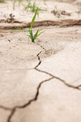 Global warming. Texture background. Climate.