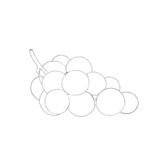 a bunch of grapes - a template for a children's coloring book, a children's task to color a picture