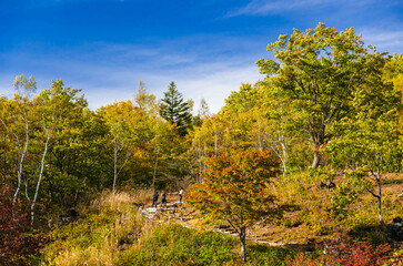 晩秋の乗鞍高原　一の瀬園地