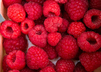 Background of ripe fresh raspberries. Selling raspberries at the farmers market.