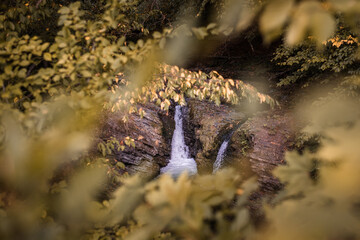 Waterfall in the mountain forest