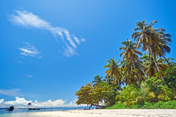 Tropical island with palm trees in Panama
