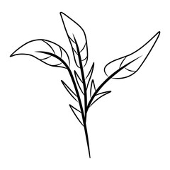 silhouette illustration of tree branches, twigs, palm leaves, and plants