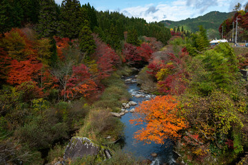 大井平公園の紅葉
