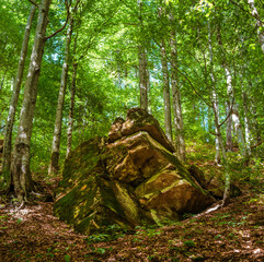 Giant stone in the forest