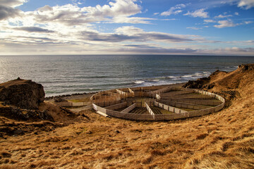 rundes Tiergehege in der nähe von hvammstangi in island bei Abenddämmerung