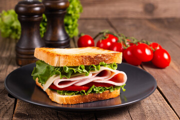 Close-up photo of an American club sandwich. Fast food concept. 