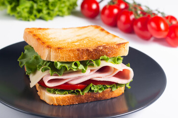 Close-up photo of an American club sandwich. Fast food concept. 