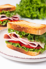 Close-up photo of an American club sandwich. Fast food concept. 