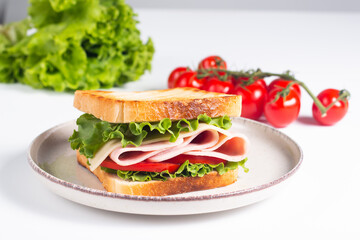 Close-up photo of an American club sandwich. Fast food concept. 