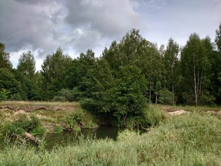 Forest river summer landscape. Beautiful wild nature scene with water and oak trees on the shore. Sudogda, Vladimir Oblast, Russia. Cloudy weather, rain clouds