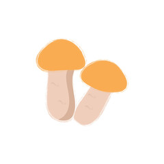 Vector image of a mushroom isolated on a white background. Porcini mushrooms, chanterelles, honey mushrooms, mushrooms, toadstools, morels. Cartoon style.