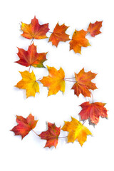 Number 5 from of colorful autumnal maple leaves on white background. Top view, flat lay