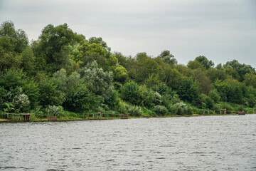 Fototapeta premium river in the woods