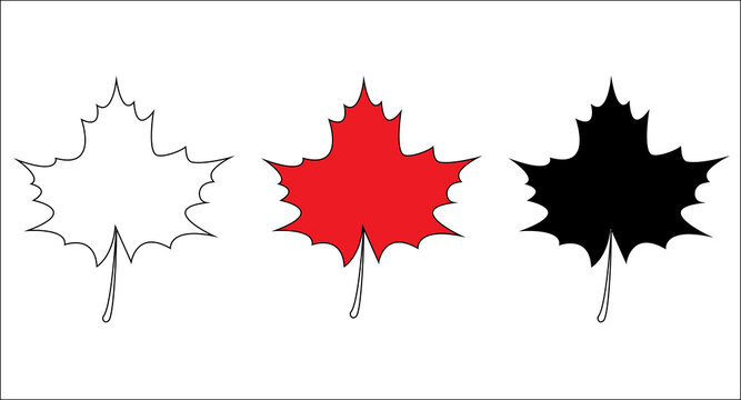 Set maple leaves on white background. Vector Canadian maple leaf icon. Vector illustration