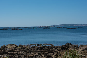 like a pilgrim doing the camino portugues to Santiago of Compostela