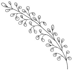 Wedding line pencil flowers and leaves.