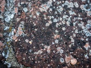 imagen textura piedra oscura con marcas de moho blanco 
