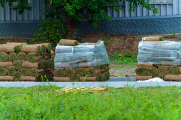 Naklejka premium Rolls of natural lawn on stands are wrapped with film