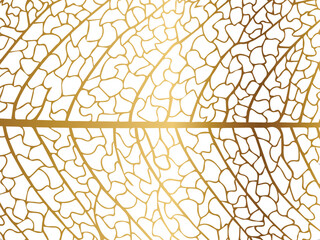 Vector illustration of gold leaves. Patterns of skeletal leaf cells, foliage branches, leaf veins for creative banner design.