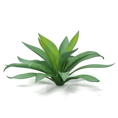 3d rendering of a agave plant