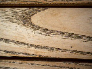 imagen detalle lámina de madera 