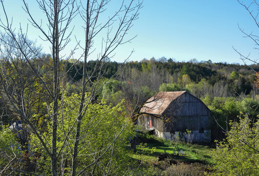 Old barn in the woods