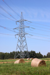 Power lines in the field
