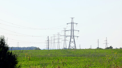 Power lines in the field
