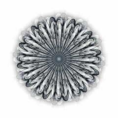 Symmetrical fractal flower, blue digital artwork for creative graphic