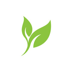 Fototapeta premium Green leaf logo
