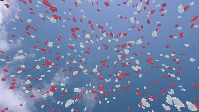 Heart Balloons rising up to the sky 3D animation.