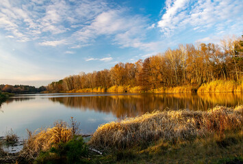 Autumn scenery with beautiful trees reflected in calm water of the lake.