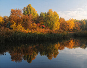 Beautiful autumn park
