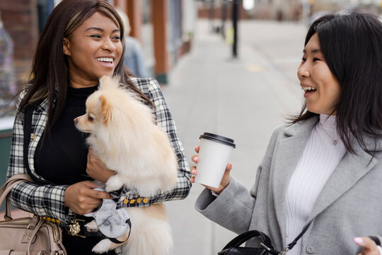 Happy women friends with coffee and cute dog on city sidewalk