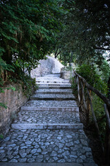 agriculture, beautiful, blue, cloud, clouds, cloudy, cloudy sky, countryside, evergreen, evergreen trees, farm, field, fresh, garden, grapes, green, growing, hill, hills, italy, land, landscape, lands